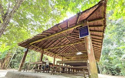 Di tích Căn cứ Trung ương Cục miền Nam: Huyền diệu dưới tán rừng Rùm Đuôn