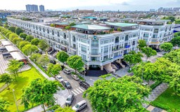 Khai xuân Vạn Phúc, hưởng trọn phúc lộc với siêu ưu đãi 25%