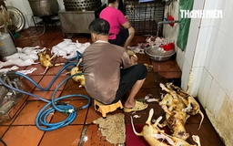 Rùng mình lò giết mổ lậu chó, mèo