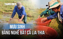 Nghề lạ: Đi vòng tròn đến chóng mặt bắt cá lia thia mưu sinh