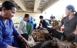 Chuyện tử tế: Miệt mài tìm thuốc nam giúp bệnh nhân nghèo