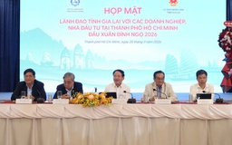 Gia Lai hứa hoàn tất thủ tục đầu tư vào khu công nghiệp chỉ 38 ngày