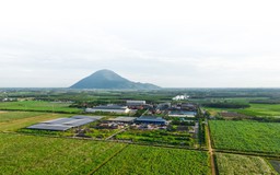 Công ty hạt nhân Tập đoàn TTC đăng ký bán ra hơn 43 triệu cổ phiếu SBT