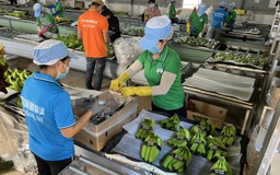 Bầu Đức tiếp tục chi hơn 60 tỉ đồng mua cổ phiếu Hoàng Anh Gia Lai