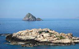 Nạn săn bắt chim yến đe dọa thương hiệu yến sào, Khánh Hòa siết chặt bảo vệ