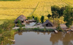 Ngôi nhà giữa đồng lúa đẹp như tranh ở TP.HCM, phía sau là chuyện tình xúc động