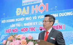 Ông Vũ Đăng Khuê làm Chủ tịch Hội doanh nghiệp nhỏ và vừa khu vực Bình Dương