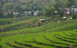 Ưu đãi của tỉnh Thanh Hóa cho các dự án đầu tư trong 5 năm tới