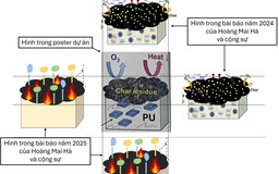 Bộ GD-ĐT sẽ xác minh tính liêm chính của cuộc thi nghiên cứu khoa học, kỹ thuật