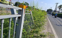 Lan can bờ kênh bị mất gây nguy hiểm