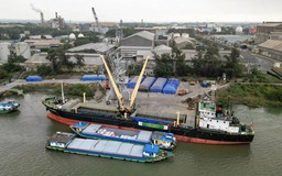 Cước tàu biển tăng mạnh, nhiều tuyến tạm ngưng