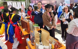 Gần 5.000 học sinh lớp 12 'hít thở' không khí đại học trước các kỳ thi lớn