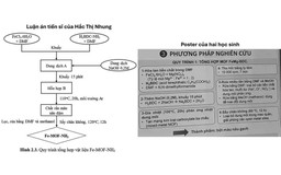 Giải nhất cuộc thi nghiên cứu KHKT quốc gia: Bộ GD-ĐT vào cuộc, Viện Hóa học bác tin đồn
