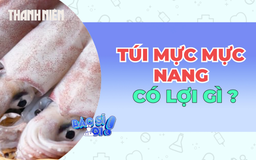Túi mực của mực nang có lợi ích gì?