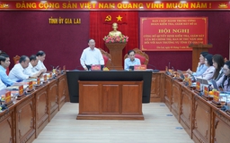 Bộ Chính trị công bố quyết định kiểm tra, giám sát đối với Gia Lai