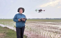 Nữ 'phi công' bảo vệ vựa lúa ở Tiền Hải