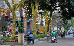 Cận cảnh cây xanh 'gánh' đèn trang trí, biển hiệu ở Hà Nội