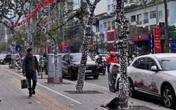 Hà Nội: Giăng đèn trang trí lên cây xanh có thể phải xin phép