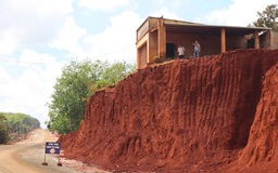 Bài học từ 3 cây sộp