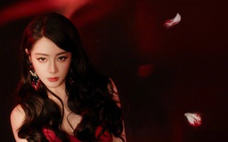 Ê kíp bay hạng thương gia, Địch Lệ Nhiệt Ba chịu ấm ức đi hạng phổ thông