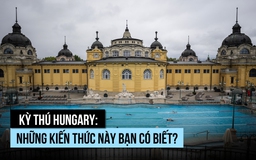 Kỳ thú Hungary: Những kiến thức này bạn có biết?