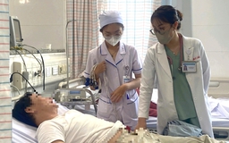 TP.HCM: Thủ phạm khiến 108 người nhập viện sau ăn bánh mì ở phường Vũng Tàu