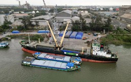 Ẩn số giá phân bón trong nước