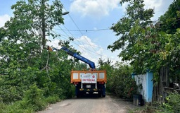 Phát quang để đảm bảo an toàn điện