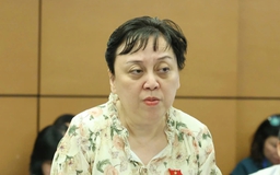 Đại biểu Quốc hội băn khoăn chuyện hiệu trưởng bị kết án vì dạy thêm