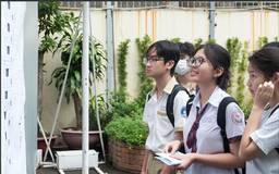 Tuyển thẳng lớp 10 của TP.HCM: Điều kiện tham gia, chọn nguyện vọng theo VNeID