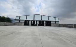 TP.HCM: Vì sao xưởng may xây dựng trái phép trên đất nông nghiệp chưa tháo dỡ?