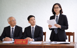 Từ ngày 18.5, Chủ tịch UBND cấp xã được xử phạt luật sư khi nào?