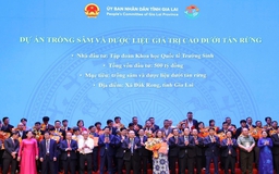 Hành trình nâng tầm Quốc bảo Sâm Việt: Bước tiến trong chuẩn hóa dược liệu Việt Nam