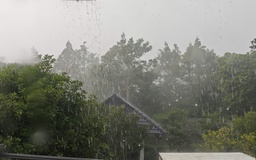 Chiều nay, mưa vàng giải nhiệt xuất hiện nhiều nơi