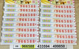 Xổ số miền Nam: Một người ở TP.HCM trúng 39,2 tỉ đồng đài Bến Tre