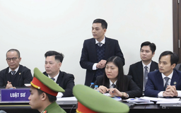 Bộ Chính trị đồng ý thí điểm luật sư công tại 8 bộ, 10 tỉnh, thành