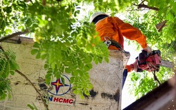 Giữ mạch sáng cho đầu tàu kinh tế