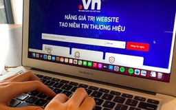 Bảo tồn văn hóa trên mạng từ tên miền tiếng Việt