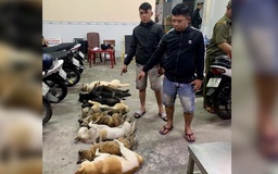 Bắt 2 nghi phạm trộm chó mang súng tự chế và kích điện