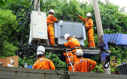 Màu áo cam thân thương vắt qua cõi nhân sinh