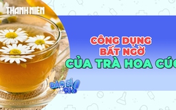 Công dụng bất ngờ của trà hoa cúc