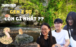 Bí mật Gen Z: Gen Z sợ nhất con gì?