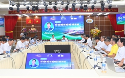 Điện áp lực lớn sau 12 năm nắng nóng kỉ lục liên tiếp
