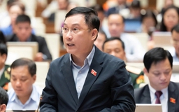Đại biểu Quốc hội đề nghị tái cấu trúc cơ chế dẫn vốn của nền kinh tế