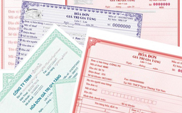Khởi tố vụ mua bán trái phép hóa đơn gia công hơn 20.000 con heo