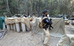 Báo Mỹ: 2 đặc vụ CIA thiệt mạng trong chiến dịch chống ma túy ở Mexico