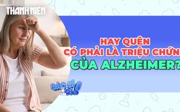 Hay quên có phải là dấu hiệu của bệnh Alzheimer?