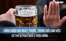 Uống rượu bia ngay trước, trong giờ làm việc có thể bị phạt đến 3 triệu đồng