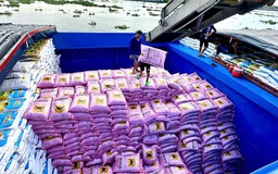 Sầu riêng, cà phê, hồ tiêu trúng giá giúp phân bón hưởng lợi lớn