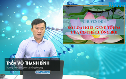 BÍ QUYẾT ÔN THI THPT 2026 | Môn sinh học | Chuyên đề 4 | Số loại kiểu gene tối đa của cơ thể lưỡng bội